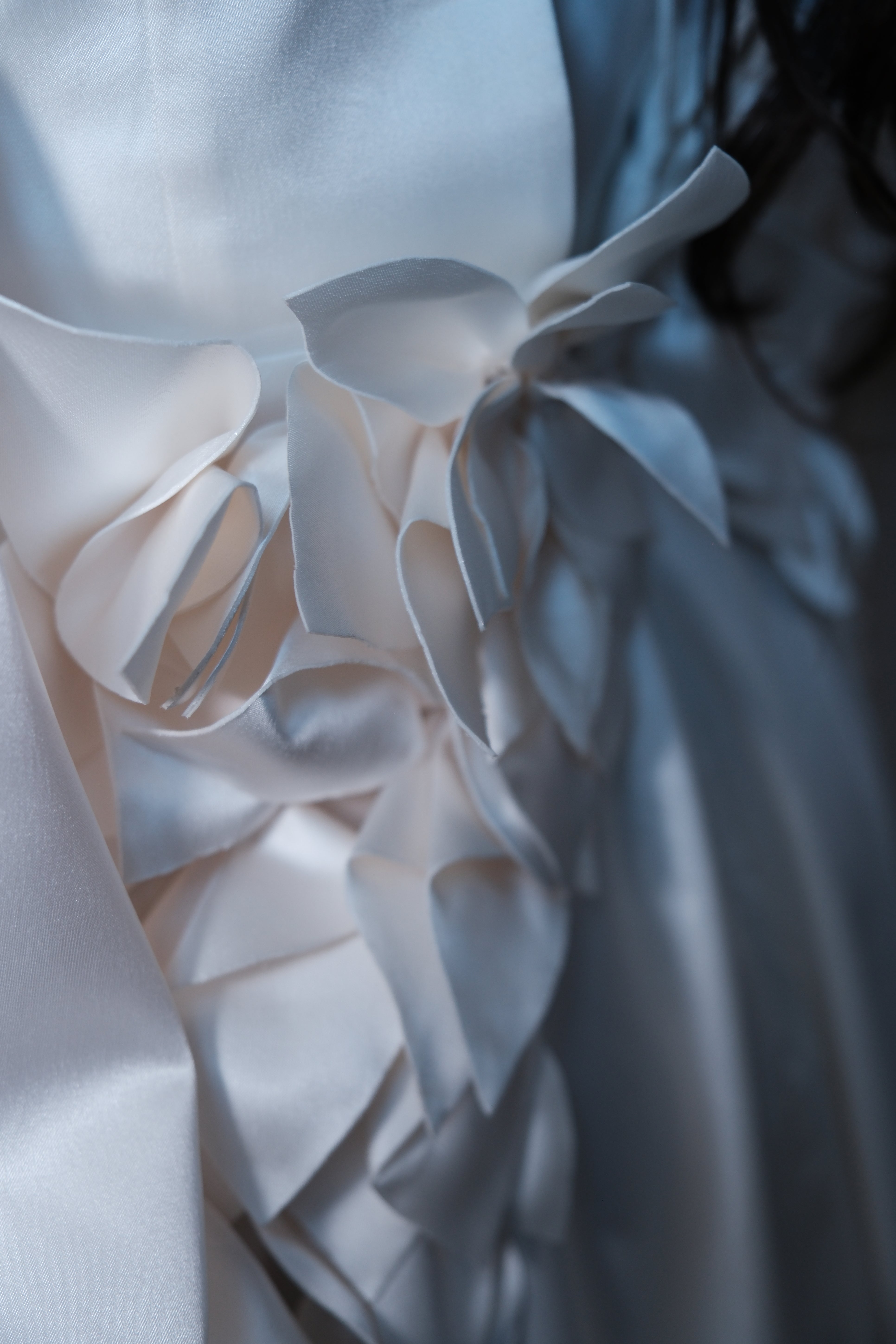 Grace Dress with veil