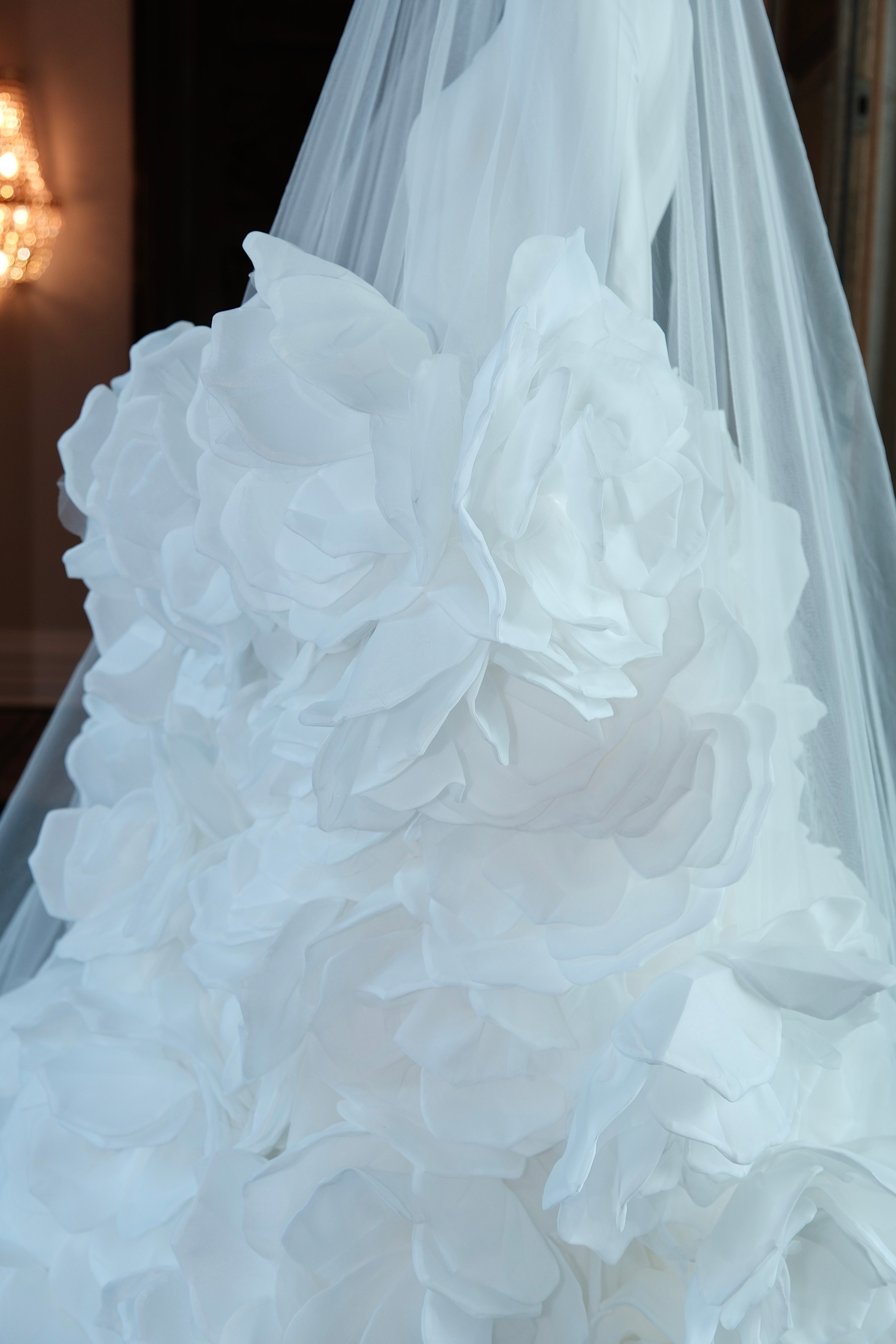 Dress "Fleur de Rêve" with veil