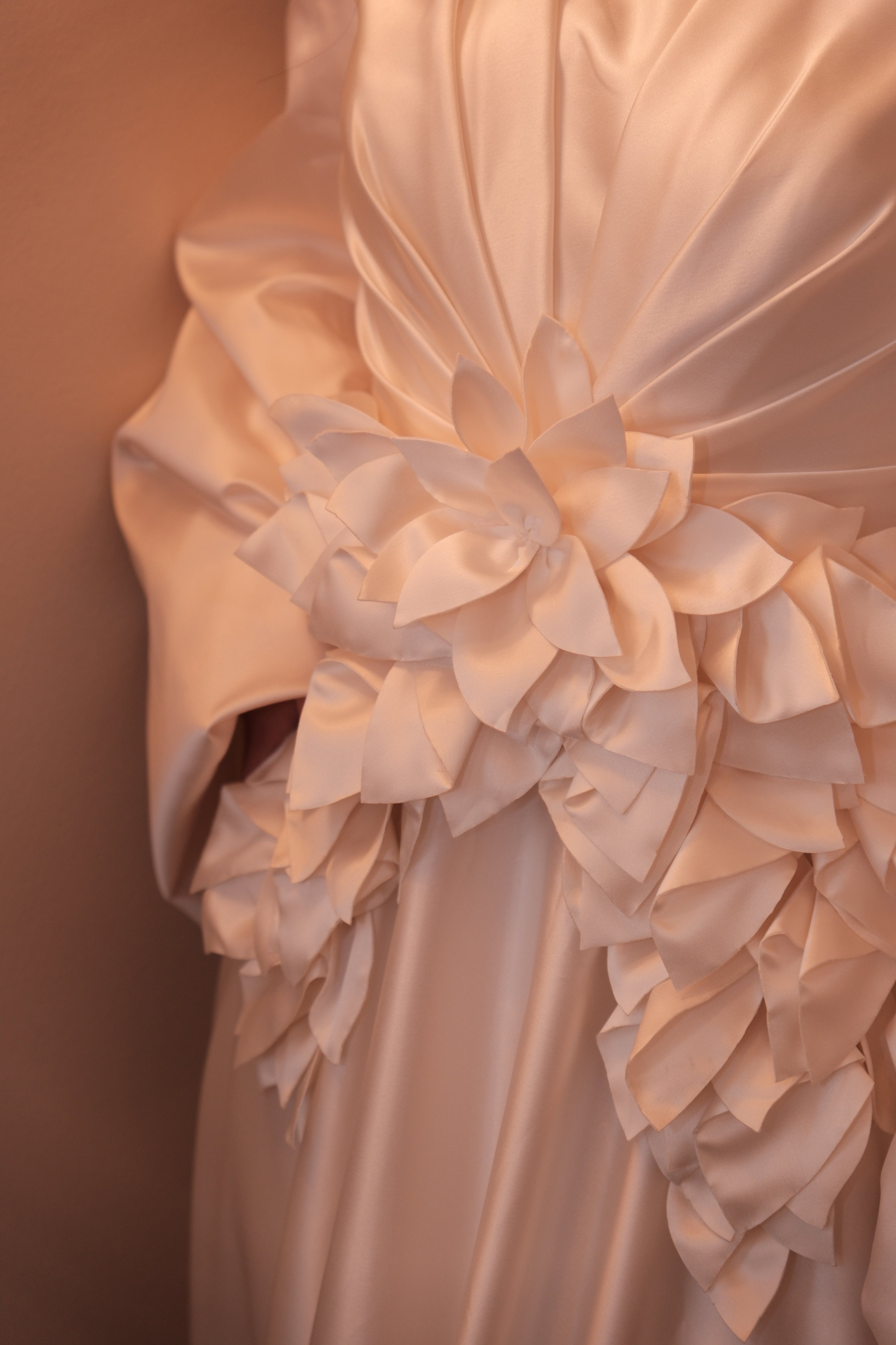 Grace Dress with veil